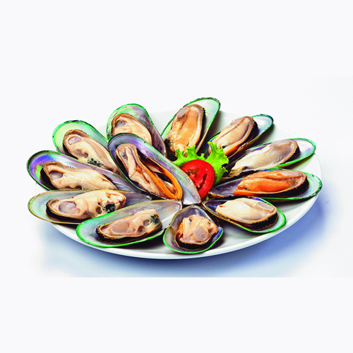 Makroclick KONO Frozen HalfShell New Zealand Mussel Size L 1 kg